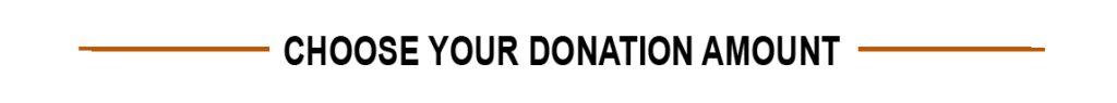 Donation Amount